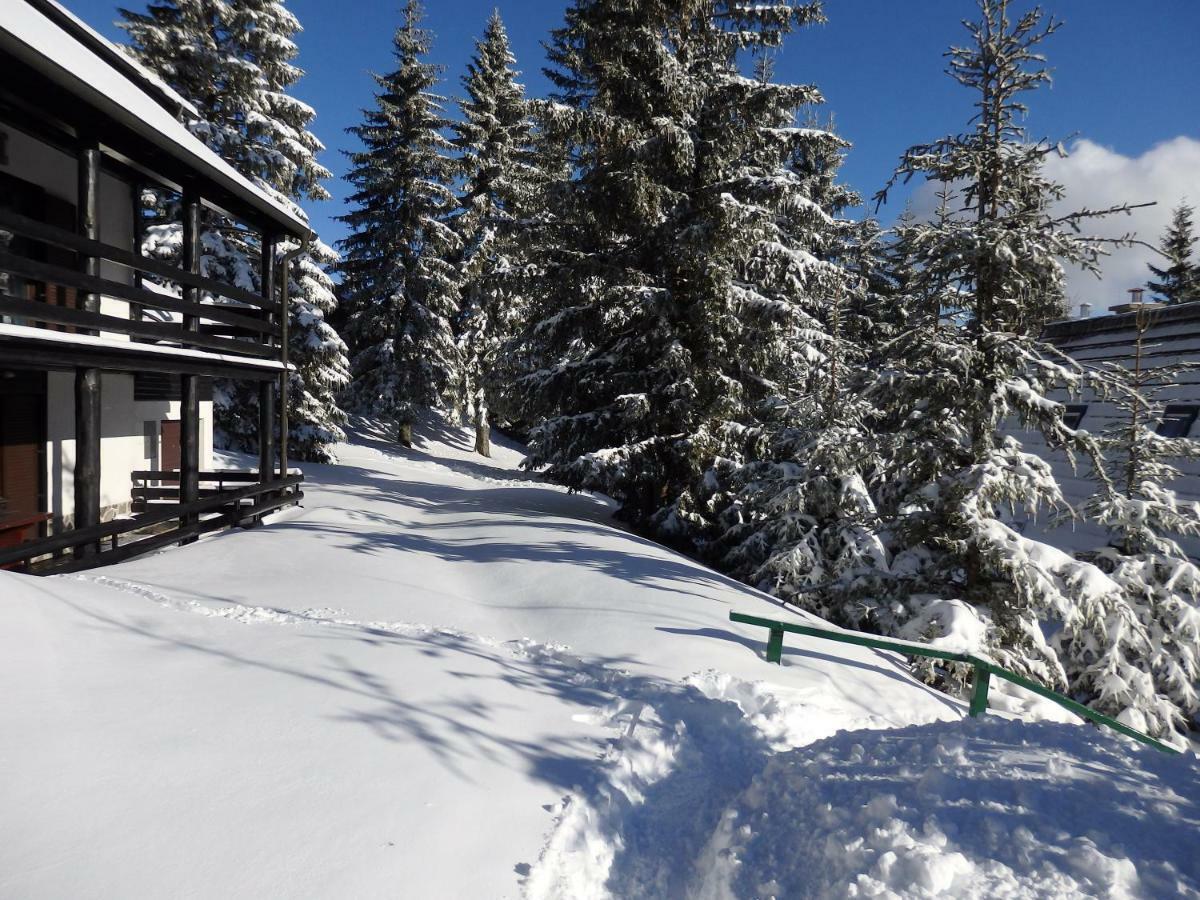 Apartma Gaber 80 Zreče Exterior foto